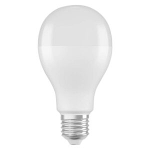 VALUE CLA150 19W/865 230V FR E27 10X2 EUE 1