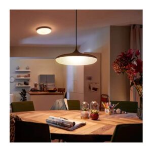 Cher Hue pendant black 2