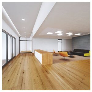 DL IP44 DN 215 30W 840 WT 2