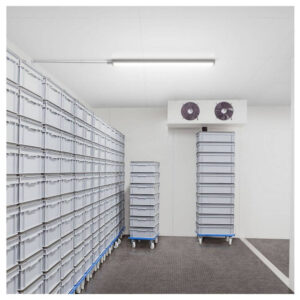 WT060C LED18S/840 PSU L600 1